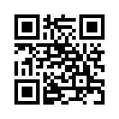 QR CODE 42