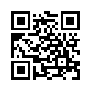 QR CODE 461