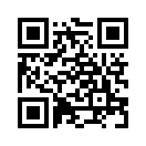 QR CODE 494