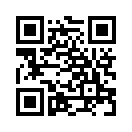 QR CODE 513