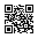 QR CODE 515