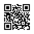 QR CODE 529