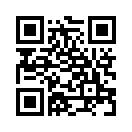 QR CODE 538