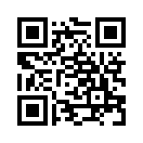 QR CODE 735