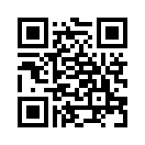 QR CODE 737