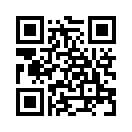 QR CODE 810