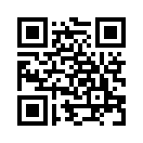 QR CODE 813