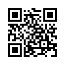 QR CODE 818