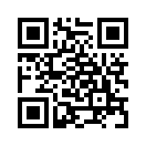 QR CODE 833