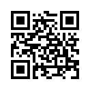 QR CODE 856