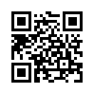 QR CODE 877