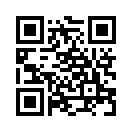 QR CODE 924