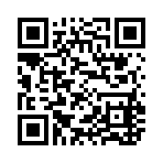 QR CODE 31