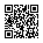 QR CODE 27