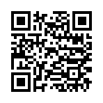 QR CODE 31