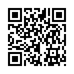 QR CODE 53