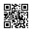 QR CODE 10017