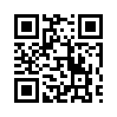 QR CODE 11369