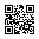 QR CODE 11390