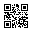 QR CODE 11631