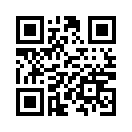 QR CODE 11981