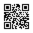 QR CODE 12113