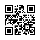 QR CODE 12334