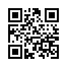 QR CODE 12491