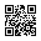QR CODE 12689