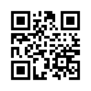 QR CODE 12877