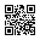 QR CODE 13029