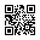 QR CODE 13113