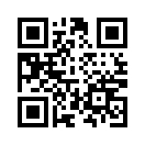 QR CODE 13134