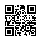 QR CODE 13167