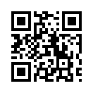 QR CODE 13173