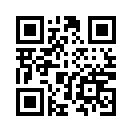 QR CODE 13182