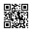 QR CODE 13216