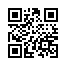 QR CODE 13220