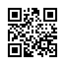QR CODE 13318