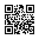 QR CODE 13321