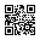 QR CODE 13393