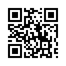 QR CODE 13417
