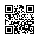 QR CODE 13423