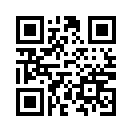 QR CODE 13535