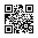 QR CODE 13541