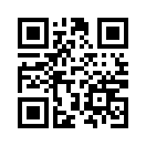 QR CODE 13577