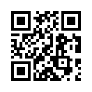 QR CODE 13607