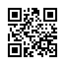 QR CODE 13736