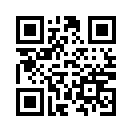 QR CODE 13766