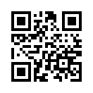 QR CODE 13786